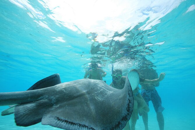 Snorkeling Lagoon Cruise and Whale Watching in Moorea - Why the 12-person limit matters