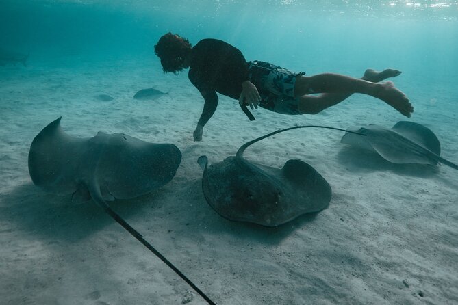 Snorkeling Lagoon Cruise and Whale Watching in Moorea - Fruit, punch, and a slower finish