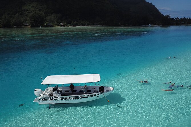 Snorkeling Lagoon Cruise and Whale Watching in Moorea - Whale and dolphin watching beyond the lagoon