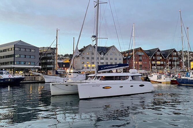 Snorkeling with Orcas In Norway, 4 days All-Inclusive expedition - Who will get the most from this expedition