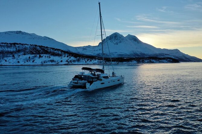 Snorkeling with Orcas In Norway, 4 days All-Inclusive expedition - Booking, cancellation, and practical details