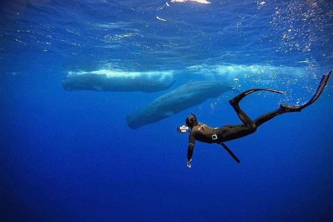 Snorkeling with Whales in Mirissa - Leaving Mirissa Beach by small boat