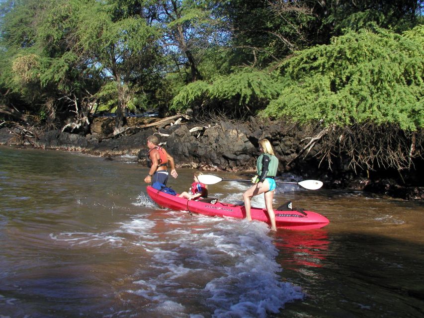 South Maui: Whale Watch Kayaking and Snorkel Tour in Kihei - Key points to know before booking
