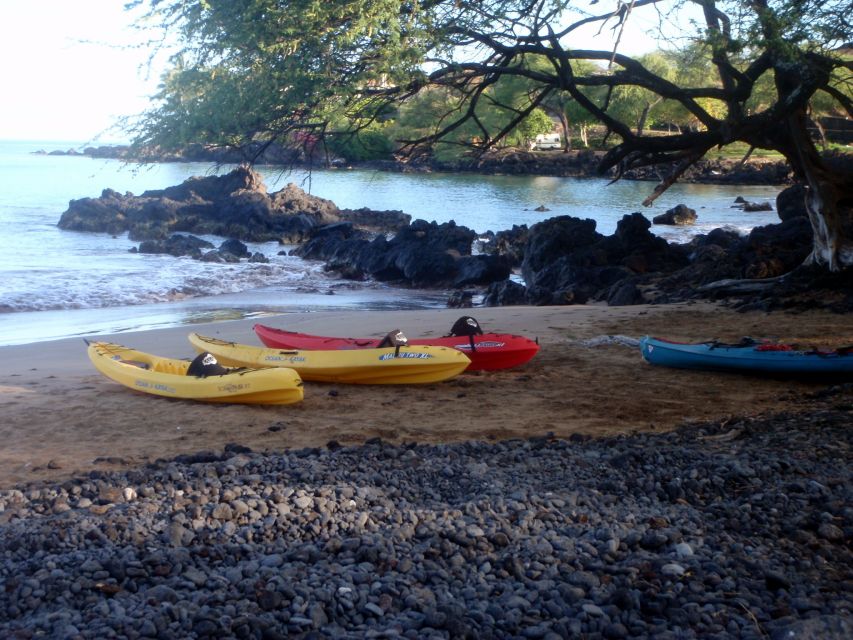 South Maui: Whale Watch Kayaking and Snorkel Tour in Kihei - Who will enjoy this tour most