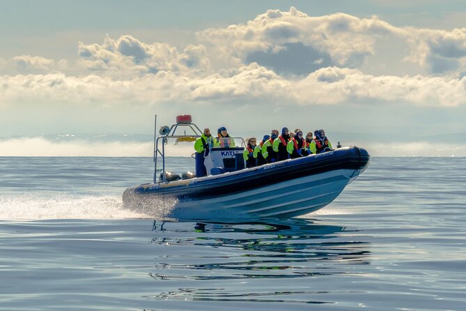 Speedboat Whale Watching Small-Group Tour in Reykjavik - Leaving Reykjavik beside the Sun Voyager