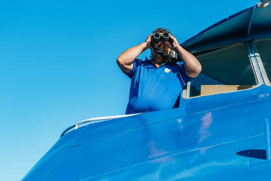 Spirit of Gold Coast 2.5-Hour Whale Watching Tour - A few ways to make the trip better