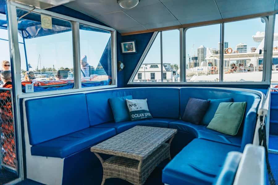 Spirit of Gold Coast 2.5-Hour Whale Watching Tour - Why the marine commentary adds value