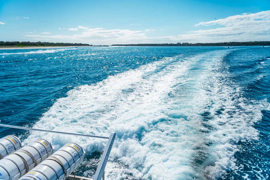Spirit of Gold Coast 2.5-Hour Whale Watching Tour - Making sense of the $52 price