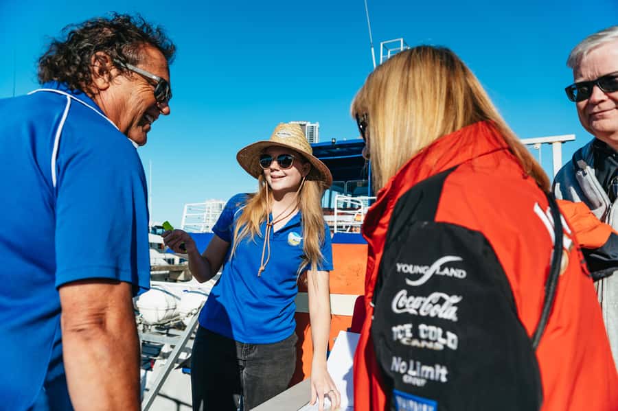 Spirit of Gold Coast 2.5-Hour Whale Watching Tour - Timing your visit from June to October