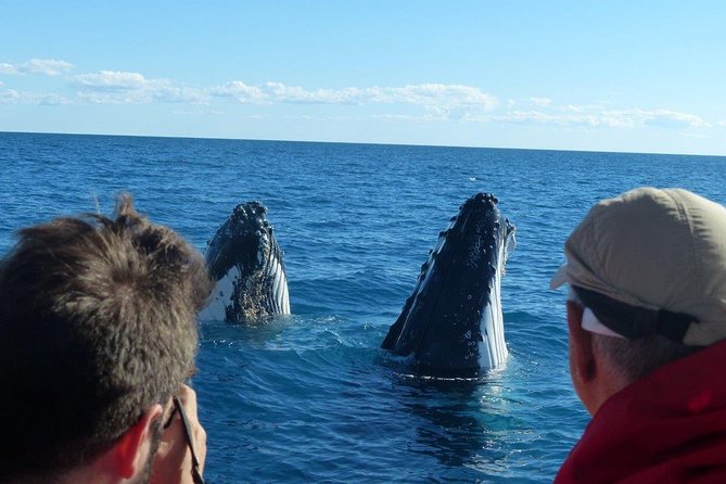 Spirit of Hervey Bay Whale Watching Cruise - Boarding at Whale Bay Marina