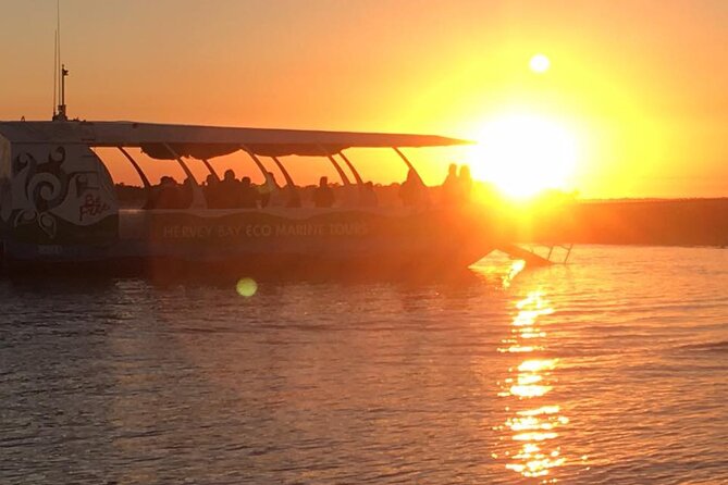 Spirit of Hervey Bay Whale Watching Cruise - What the four-and-a-half-hour route feels like