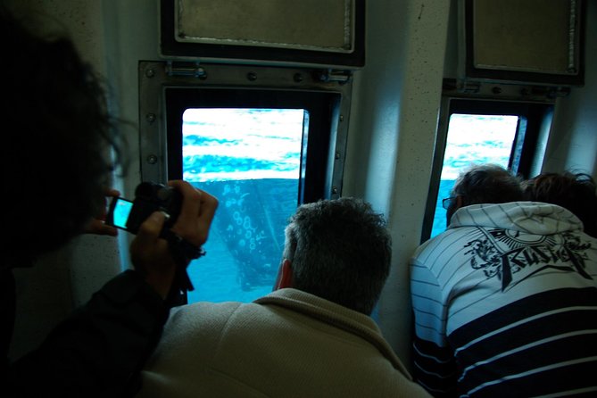 Spirit of Hervey Bay Whale Watching Cruise - Who should book this cruise
