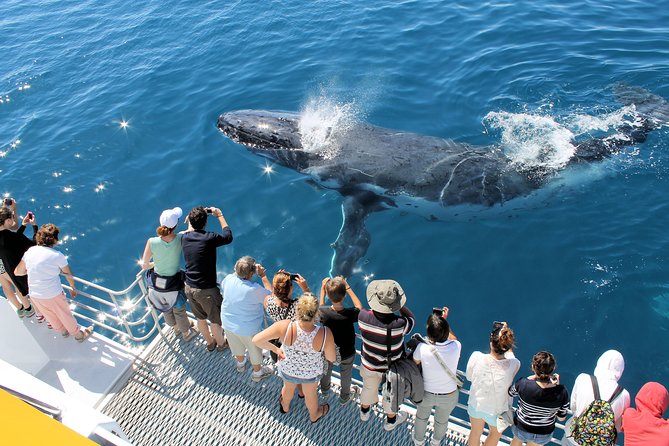Spirit of Hervey Bay Whale Watching Cruise - Simple booking and cancellation points