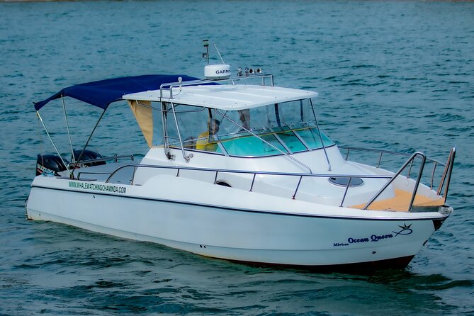 Sports Boat- Private Whale Watching Trip( free breakfast & paid pick-up) - Key points to know before booking