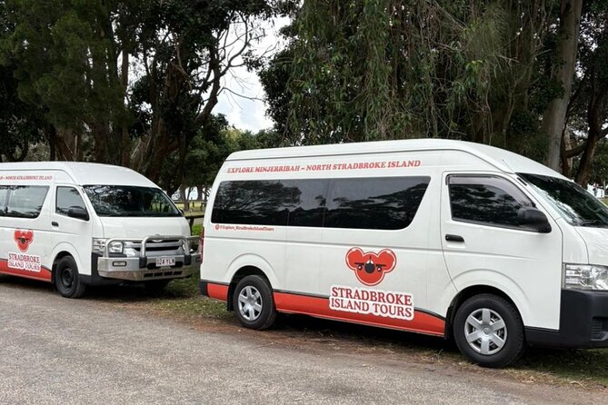 Stradbroke Island Eco Day Trip from Brisbane – Wildlife & Beaches - Amity Point is the best koala search