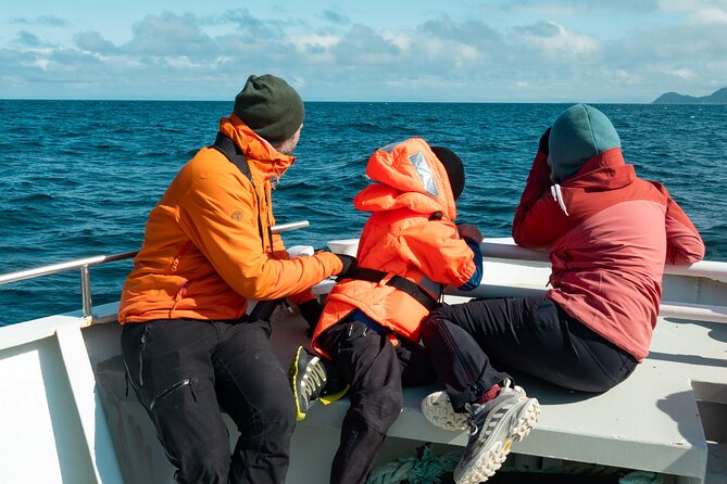 Summer Whale Safari in Andenes (Andøy, Vesterålen) - A surprise chance of seeing orcas