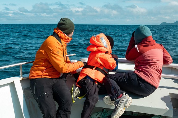Summer Whale Safari in Andenes (Andøy, Vesterålen) - Hydrophones, seabirds, and coastal views