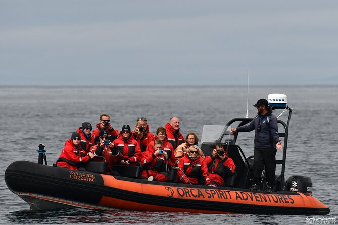 Summer Whale Watching Tour in a Zodiac Boat in Victoria - Comfort, safety, and what to wear
