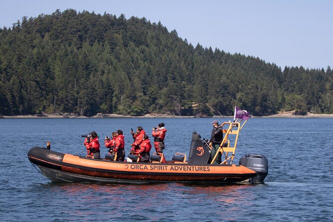 Summer Whale Watching Tour in a Zodiac Boat in Victoria - Who should book this experience?