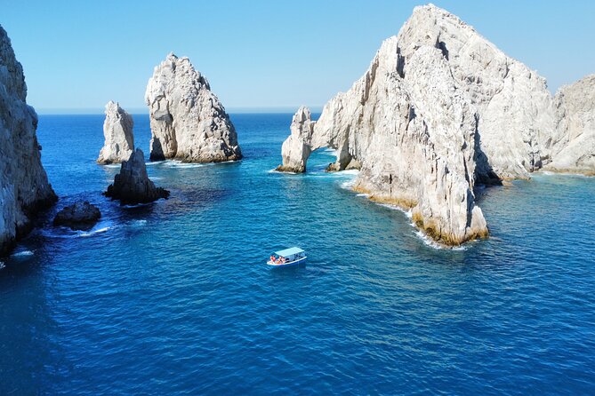 Sunrise Whale Watching boat tour with marine biologist - Snorkeling near Chileno Bay