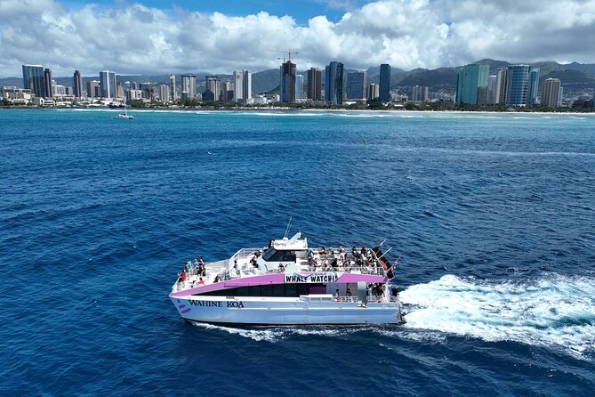 Sunset Cruise & Whale Watching from Oahu - Crew style: practical help with some personality
