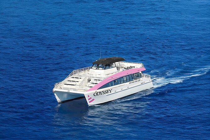 Sunset Cruise & Whale Watching from Oahu - Is $61.19 a fair price?