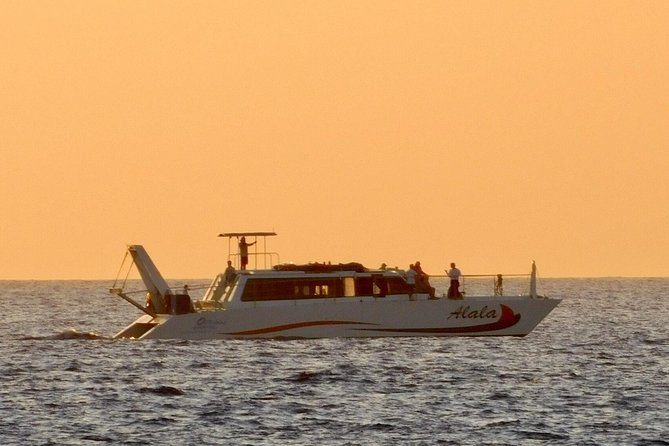 Sunset Cruise with the Whales on our Power Catamaran - Key points to know before booking