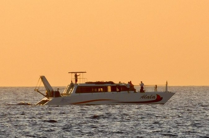 Sunset Cruise with the Whales on our Power Catamaran - Sunset, cocktails, and island-style appetizers