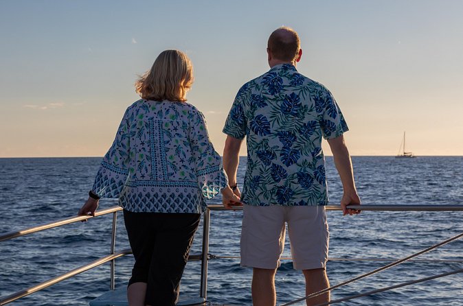 Sunset Cruise with the Whales on our Power Catamaran - Who will enjoy this cruise most?