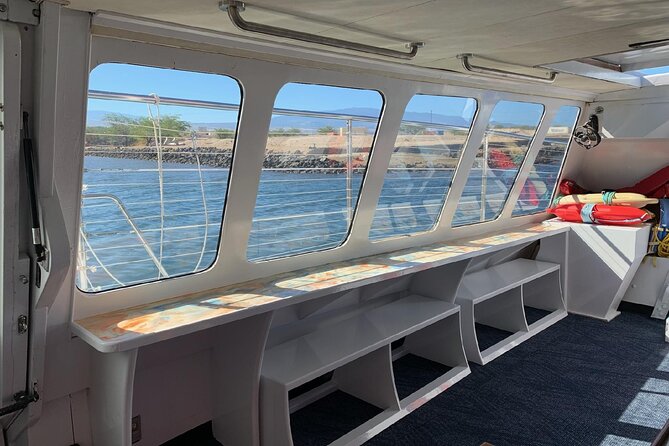 Sunset Cruise with the Whales on our Power Catamaran - Practical details that affect your evening