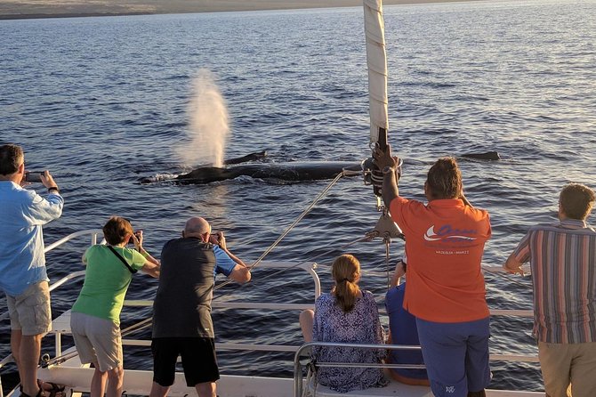 Sunset Cruise with the Whales on our Sailing Catamaran - Setting out from Anaehoomalu Bay