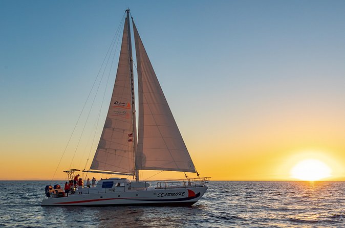 Sunset Cruise with the Whales on our Sailing Catamaran - Who will enjoy this cruise most