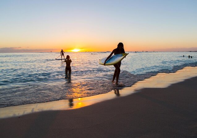 Sunset Whale Watch in Waikiki, Whales Guaranteed or Free Return - Key points at a glance