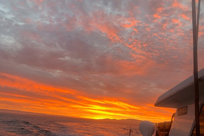 Sunset Whale Watch Tour in Monterey - Key things to know before you book