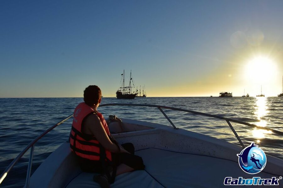 Sunset Whale Watching Cruise in Cabo San Lucas - Conditions and comfort on the water
