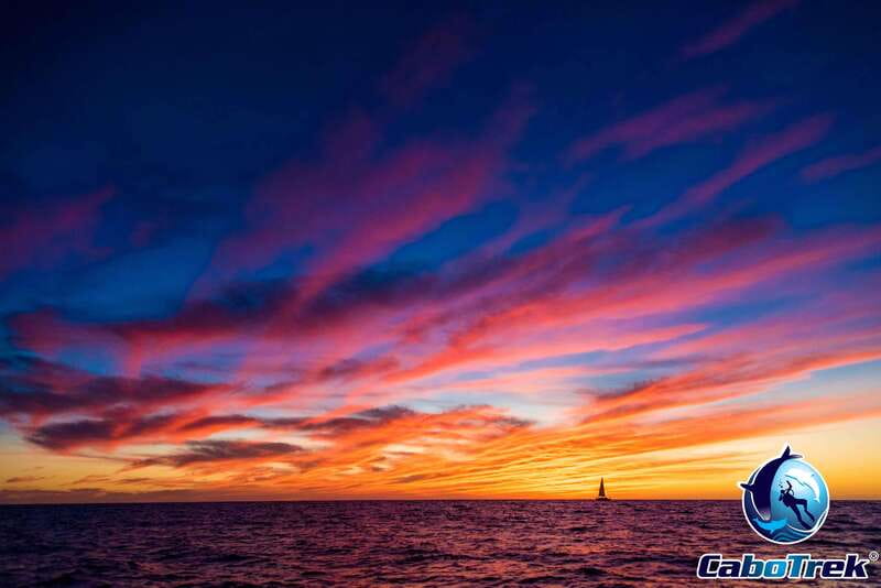 Sunset Whale Watching Cruise in Cabo San Lucas - Wine, appetizers, and the Cabo arch