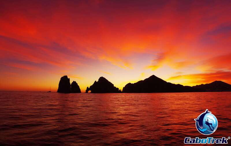 Sunset Whale Watching Cruise in Cabo San Lucas - Checking in inside Tesoro Hotel