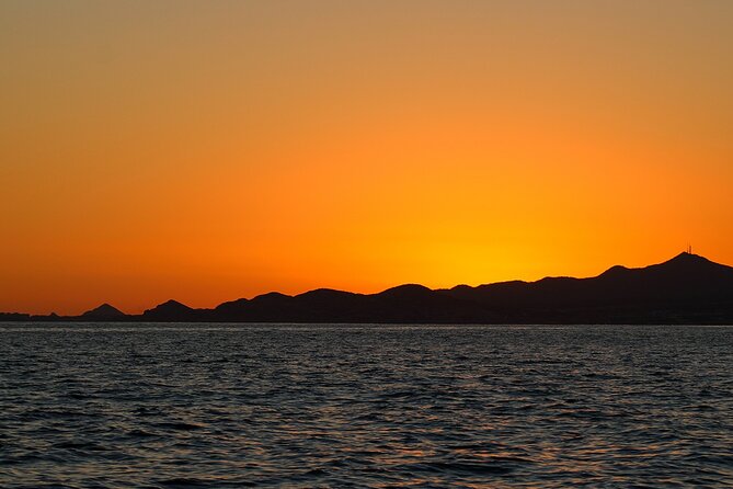 Sunset Whale Watching in San Jose del Cabo - Who will enjoy this evening cruise most
