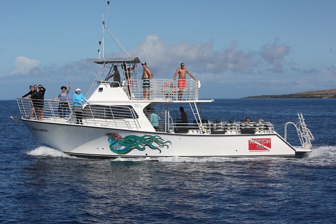 Sunset Whale Watching Shared Activity - Setting out from Kawaihae at 3:30 pm