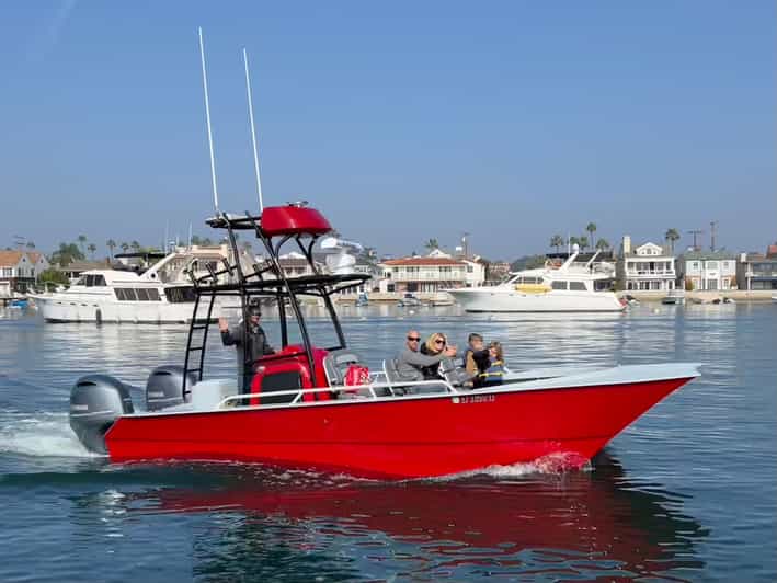 Superior 2hr Private Whale & Dolphin Watching Newport Beach - Whale sightings depend on season and luck