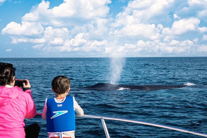 Supreme 2hr Whale/Dolphin Watching Newport Beach, 6 person max - Captain Nick’s role on the water
