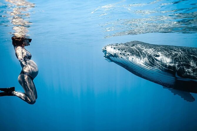 Swim in Moorea with Humpback Whales and More - Why the small boat matters