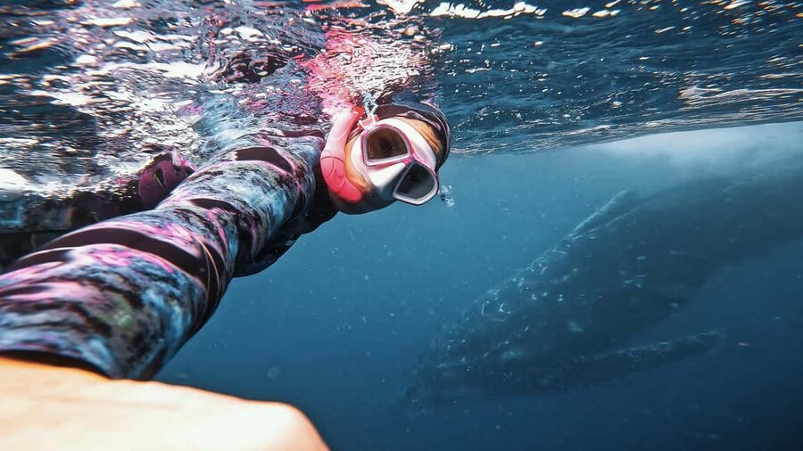 Swim with Humpback Whales: Sunshine Coast - Meeting the boat beside Mooloolaba Wharf