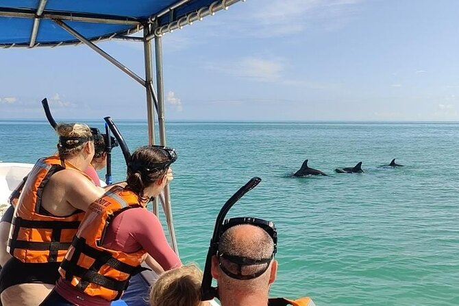 Swim with the Whale Shark on Holbox Island - Fresh ceviche at the old fishing camp