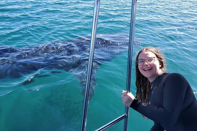 Swim with Whale Sharks #1 MUST DO IN LA PAZ - Starting at The Hook Experiences in central La Paz
