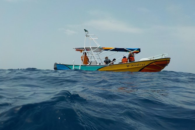 Swim with whale sharks on a private tour - The long run to the whale sharks