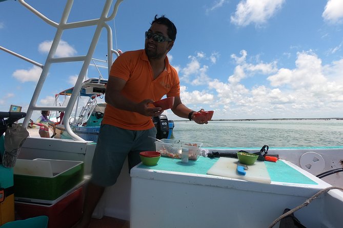 Swim with whale sharks on a private tour - My call on VIP Holbox Experience