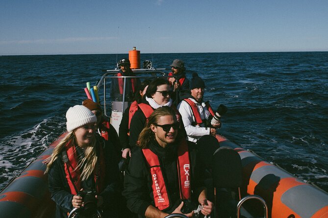 Swim with Whales Gold Coast - Booking, weather, and cancellation details