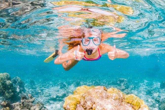 Swimming with the Whale Sharks - Ningaloo Reef (Exmouth) - Why Ningaloo Reef makes this day special