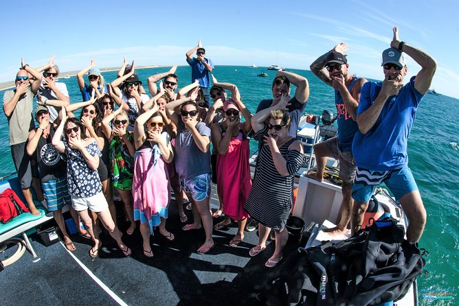 Swimming with the Whale Sharks - Ningaloo Reef (Exmouth) - What the crew does especially well